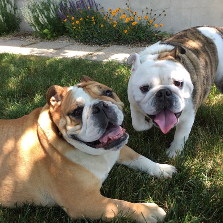 Soco and Mabel