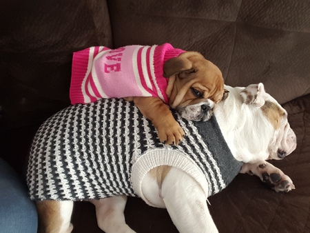 Bailey and Hazel
