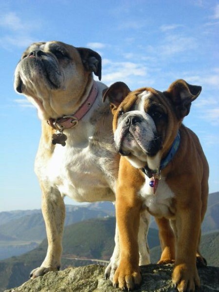 Lucy and Zuma 