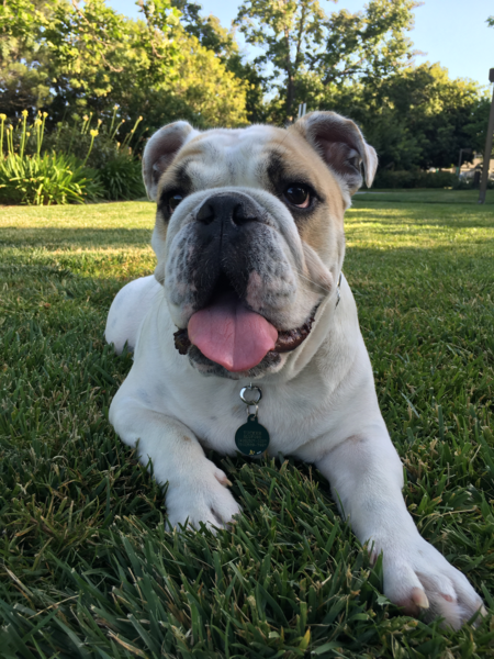 Tucker