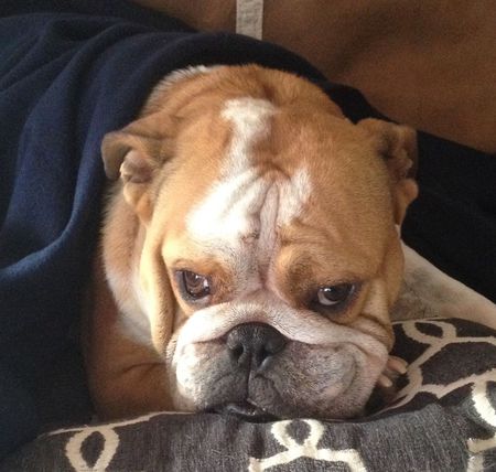 Winston