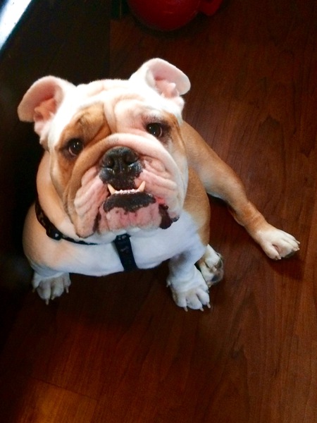 Winston 