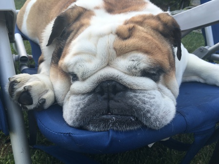 Chunk