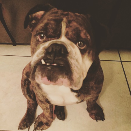 ANGUS