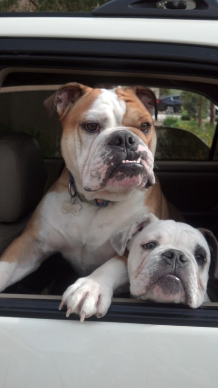 Zeus and Jake