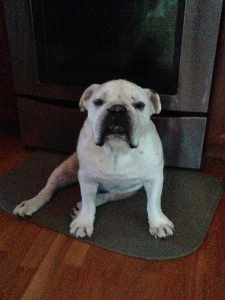 Rudy