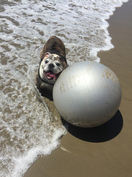 Cali