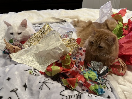 Minimus and Spartacus