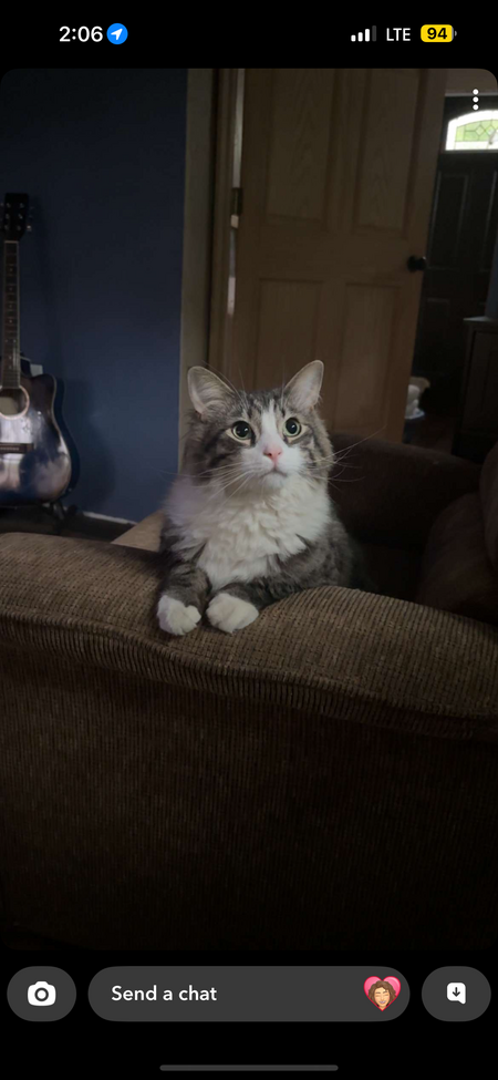 Clyde 