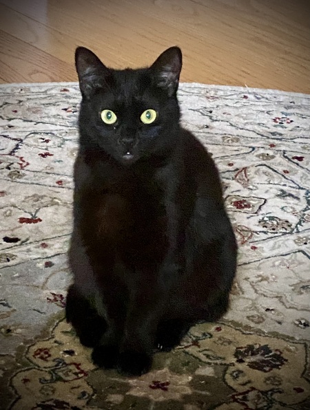 Luna