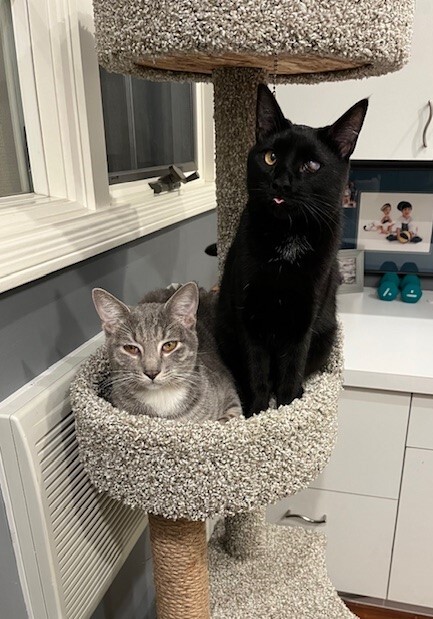 Charlie and Jack