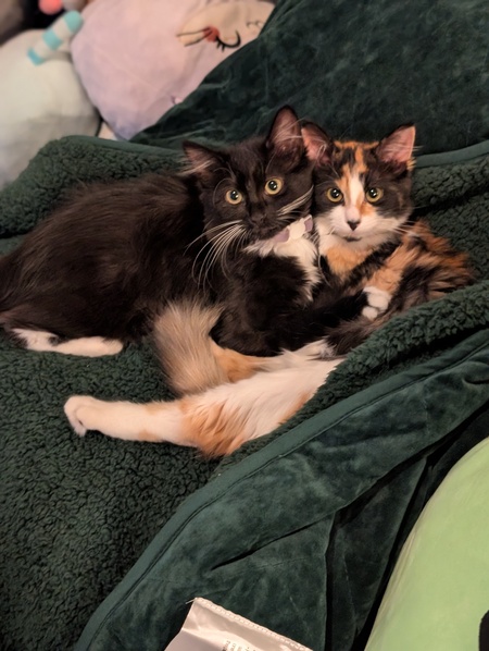 Elvira and Chloe