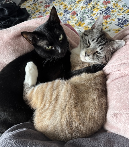 Indra and Artemis