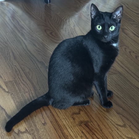 Indra