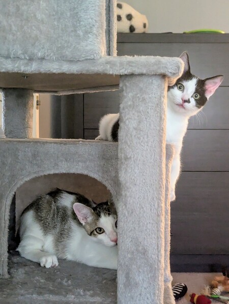 Mimo Ruby and Tavi Jade 