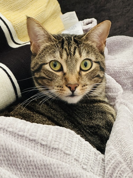 Sophie