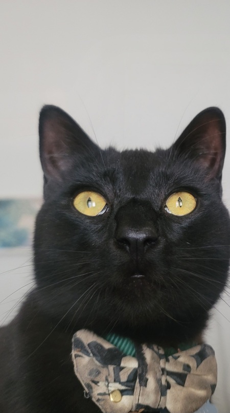 Oliver Felix Pit