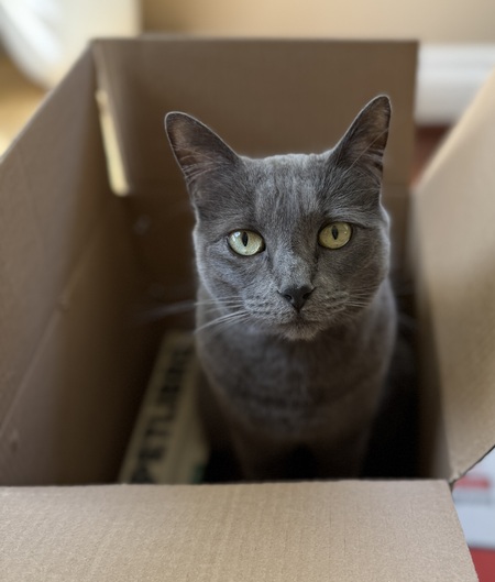 Suki