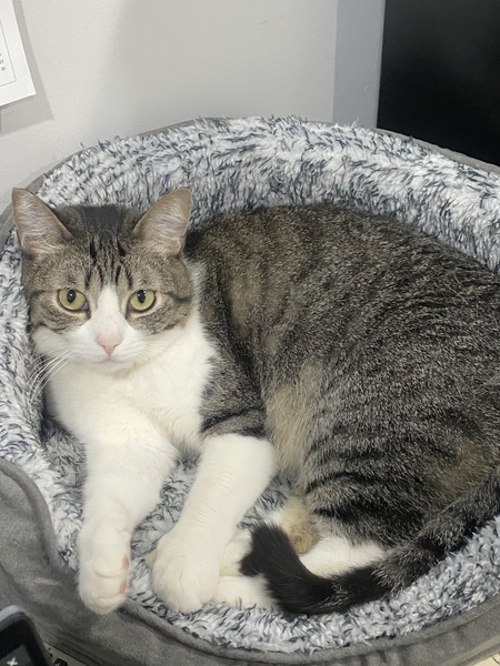 Mimi