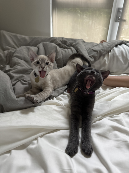 Oscar and Echo