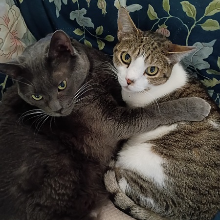 Pua and Zoe