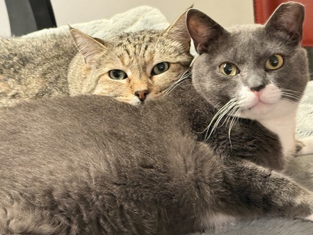 Tilt and Logan 