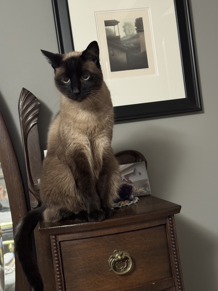 Mia