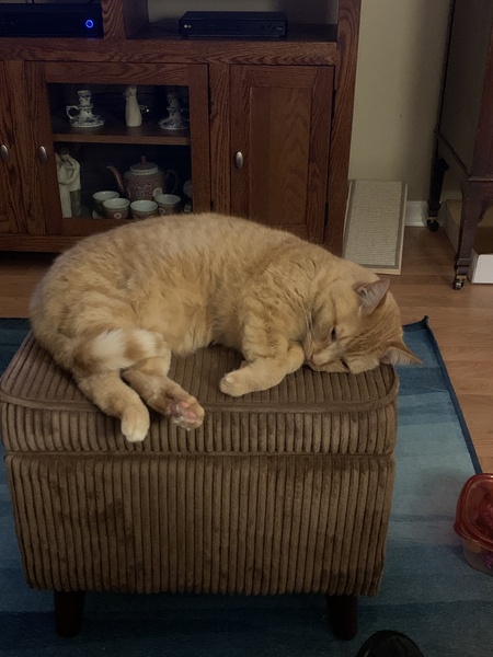 Leo