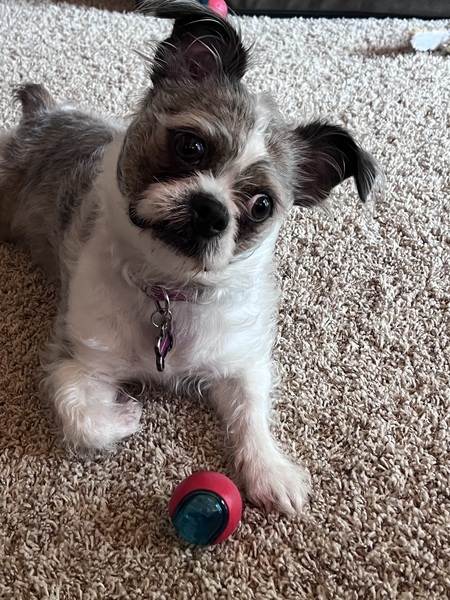 Abbie Rae