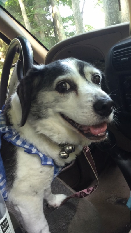 Maggie