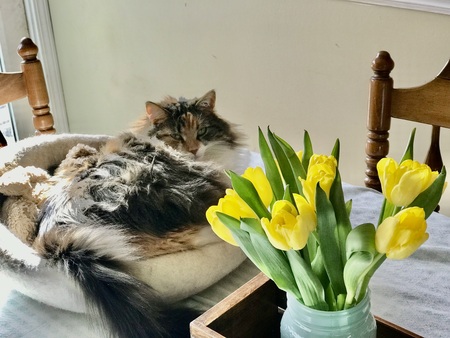 Luna