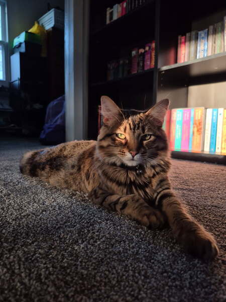 Winnie Mae