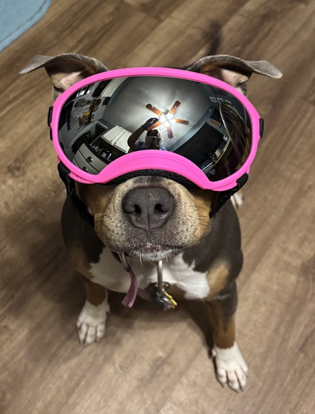 Ellie Mae