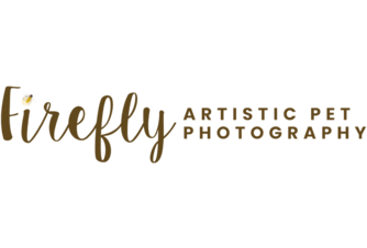 https://fireflypetphotography.com/