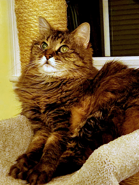 Zoe