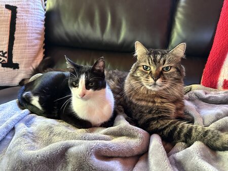 Lola & Jackson