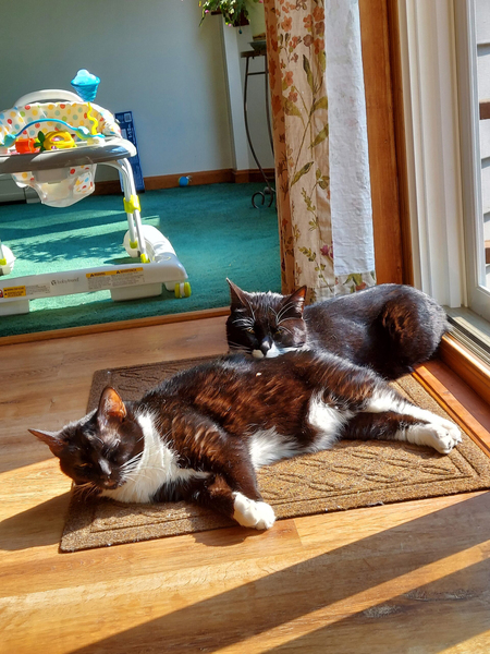 Milo & Momo