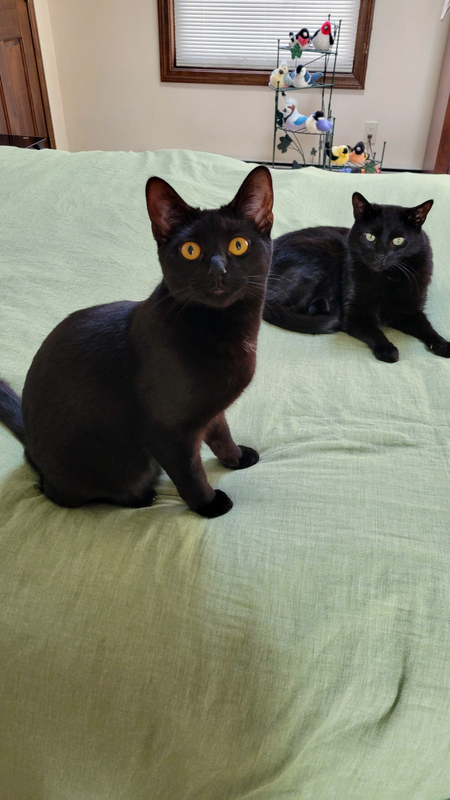 Nani & Zuzu