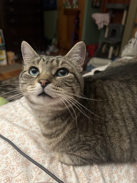 Cleopatra