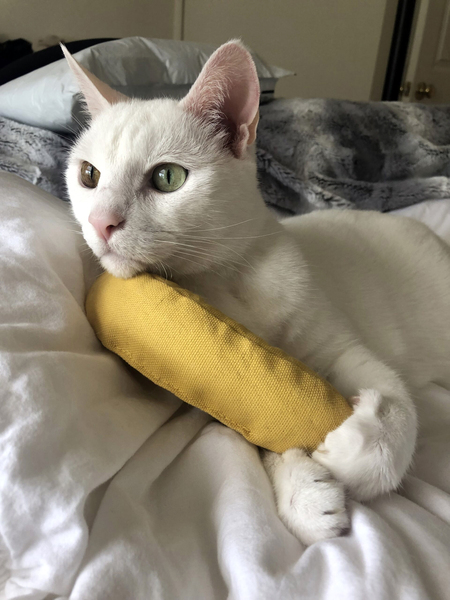 Simon Bananas