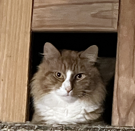 George