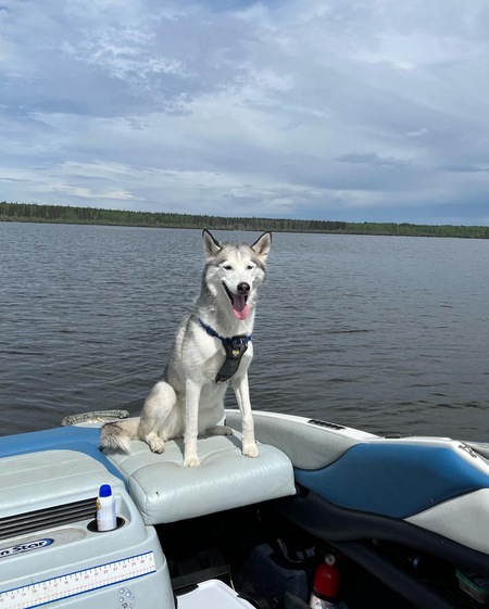Nova