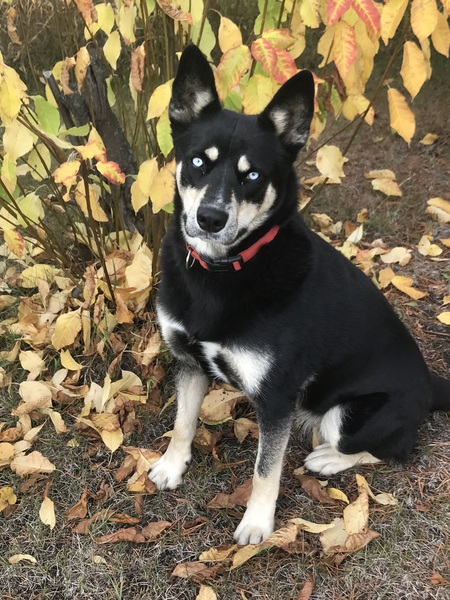 Skye