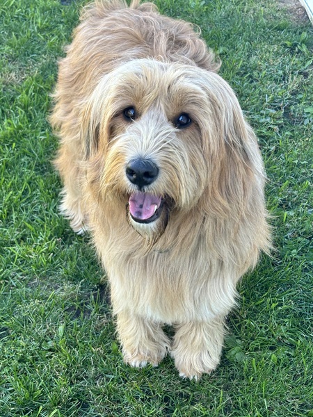 Maggie