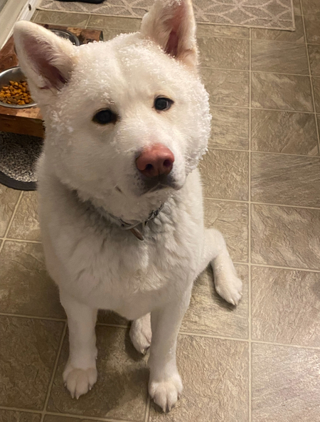 Zeus