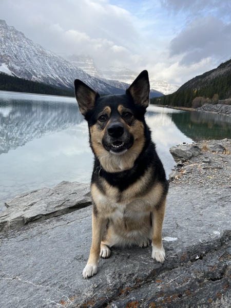 Zulu