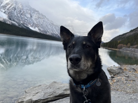 Sirius