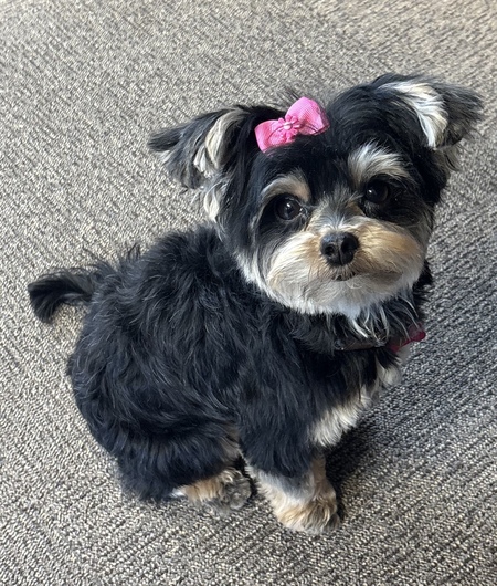 Minnie