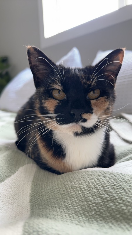 Penelope