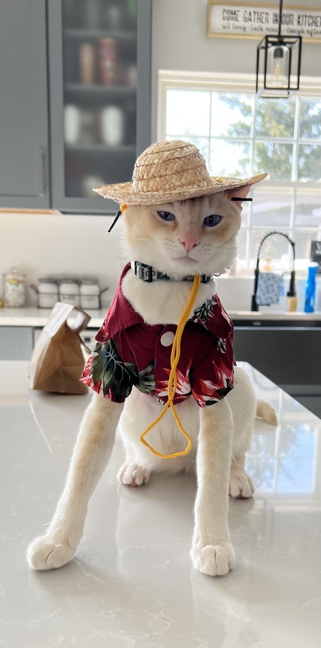 Sammy